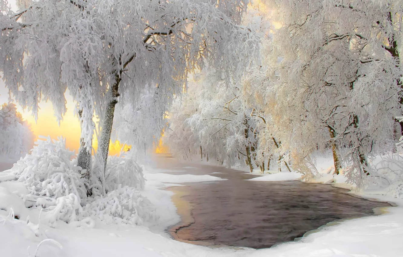 Фото обои зима, иней, снег, Финляндия, Кухмо