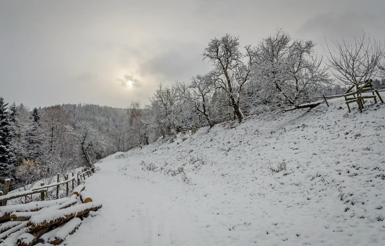 Фото обои Зима, Снег, Мороз, Winter, Frost, Snow, Дрова, Firewoods