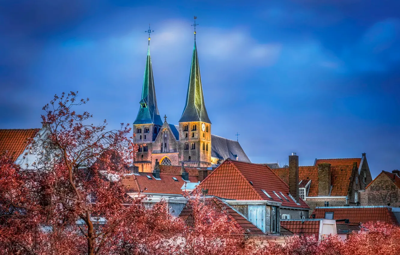 Фото обои церковь, Нидерланды, Bergkerk, Saint Nicholas Church
