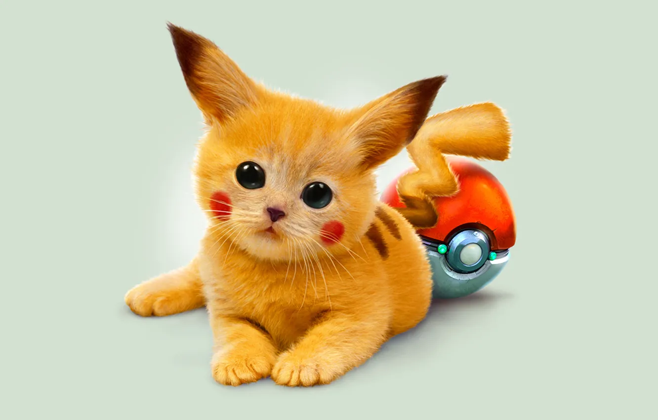 Фото обои глаза, котенок, арт, рыжий, покемон, Пикачу