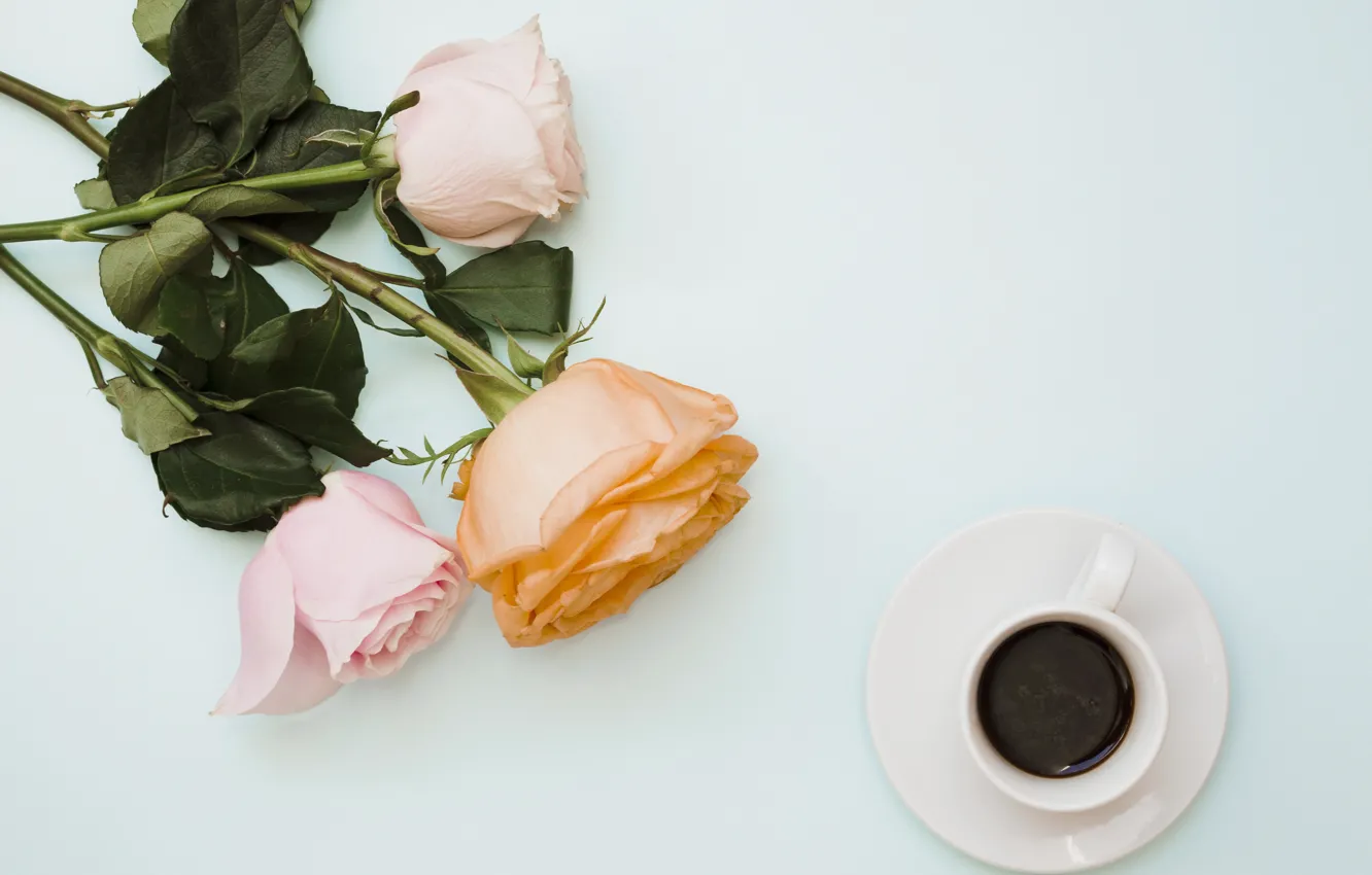 Фото обои цветы, розы, букет, pink, flowers, coffee cup, roses, чашка кофе