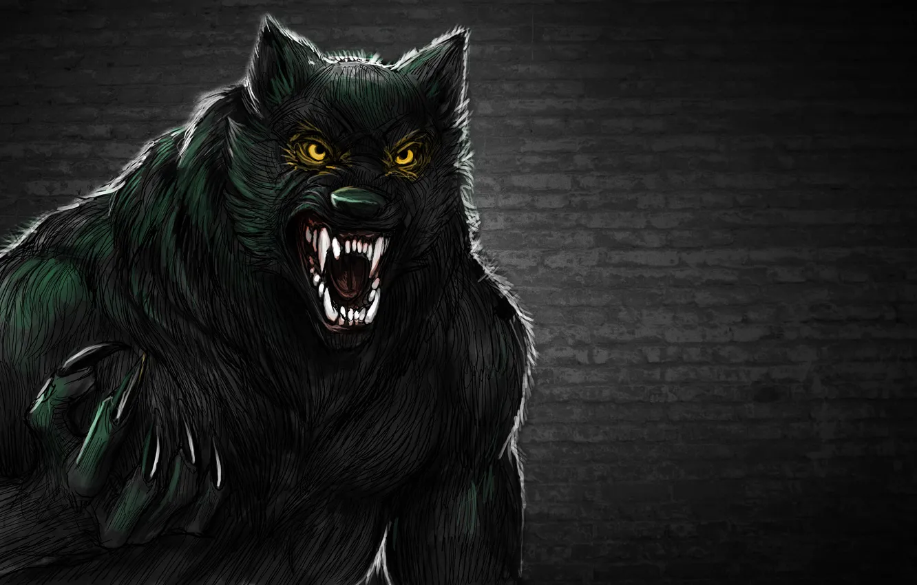 Фото обои стена, волк, оборотень, зубастый, werewolf