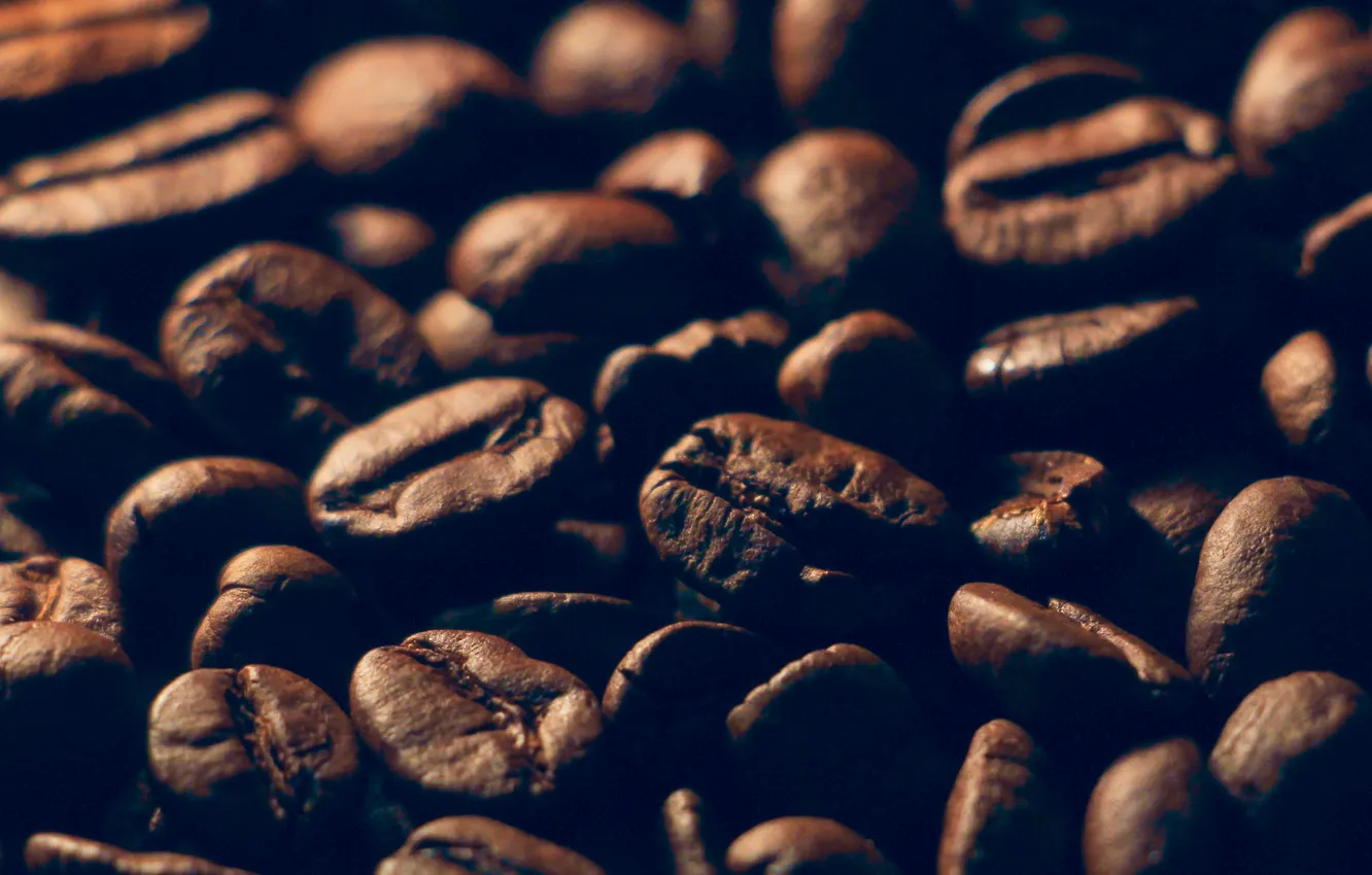 Фото обои coffee, grains, scattered