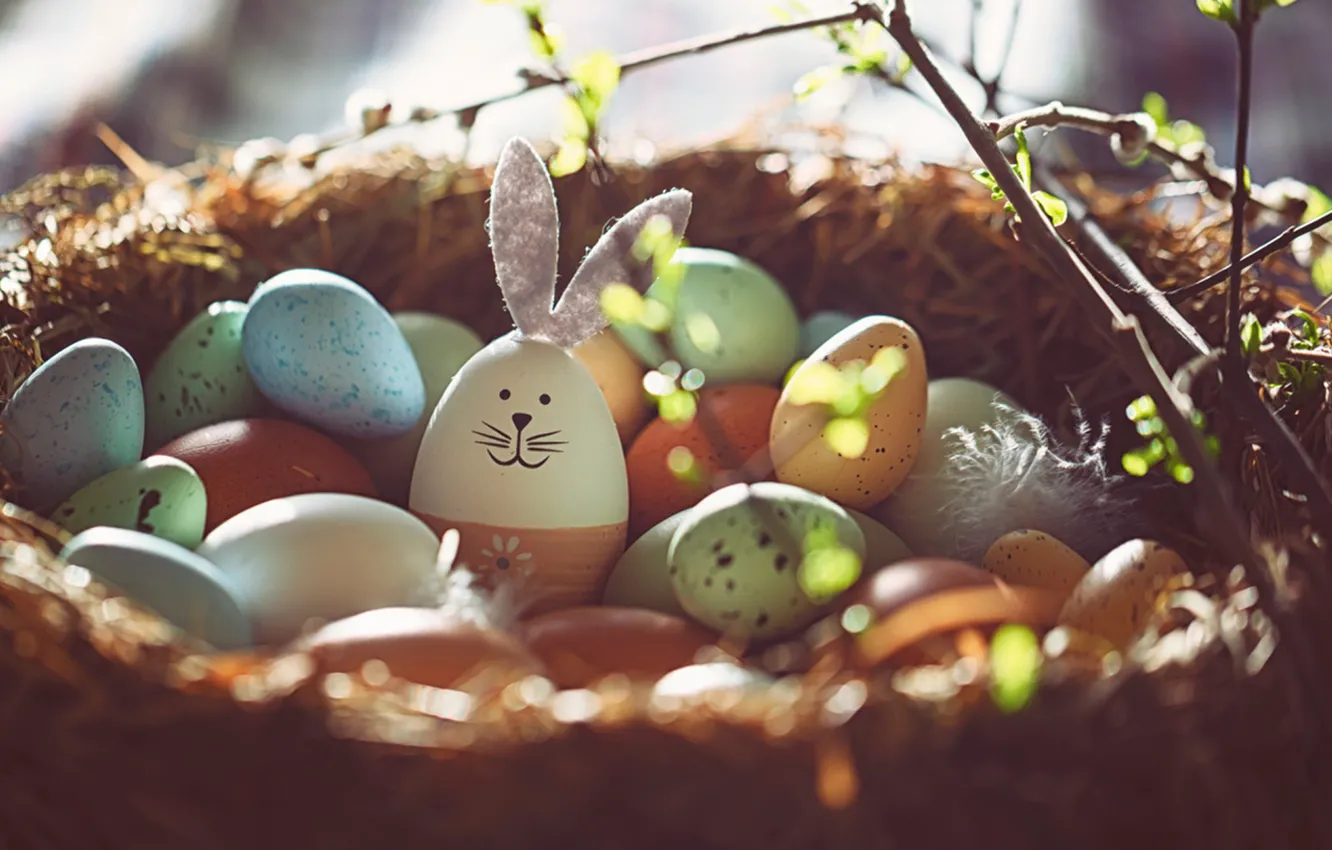 Фото обои свет, ветки, игрушка, яйца, весна, кролик, мордочка, Пасха