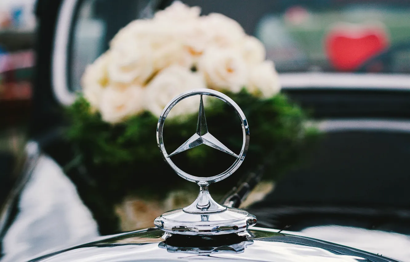 Фото обои значок, розы, букет, Mercedes, белые, свадебный