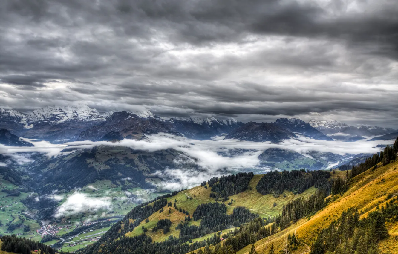 Фото обои лес, облака, пейзаж, горы, туман, посёлок