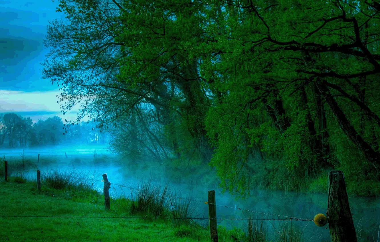 Фото обои лес, туман, река, мистика, красиво, сумерки