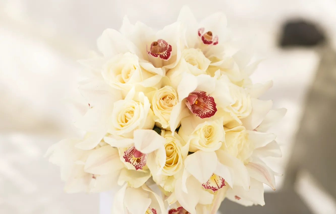 Фото обои цветы, розы, букет, белые, орхидеи