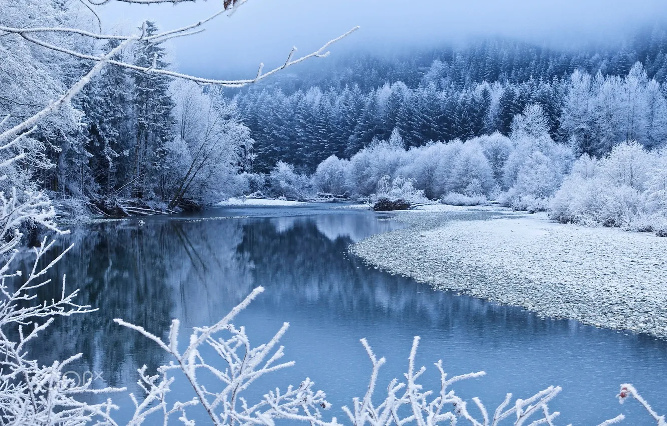 Фото обои зима, лес, снег, деревья, ветки, туман, река, синева