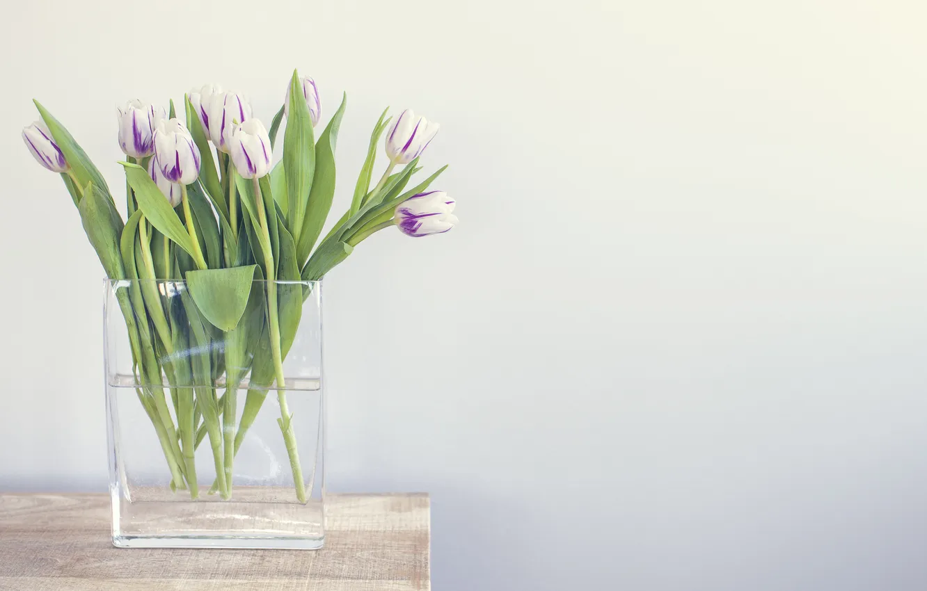 Фото обои вода, стена, тюльпаны, ваза