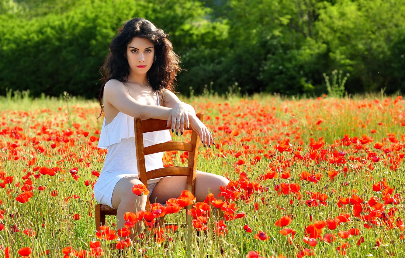 Фото обои поле, девушка, цветы, поза, маки, стул, шатенка