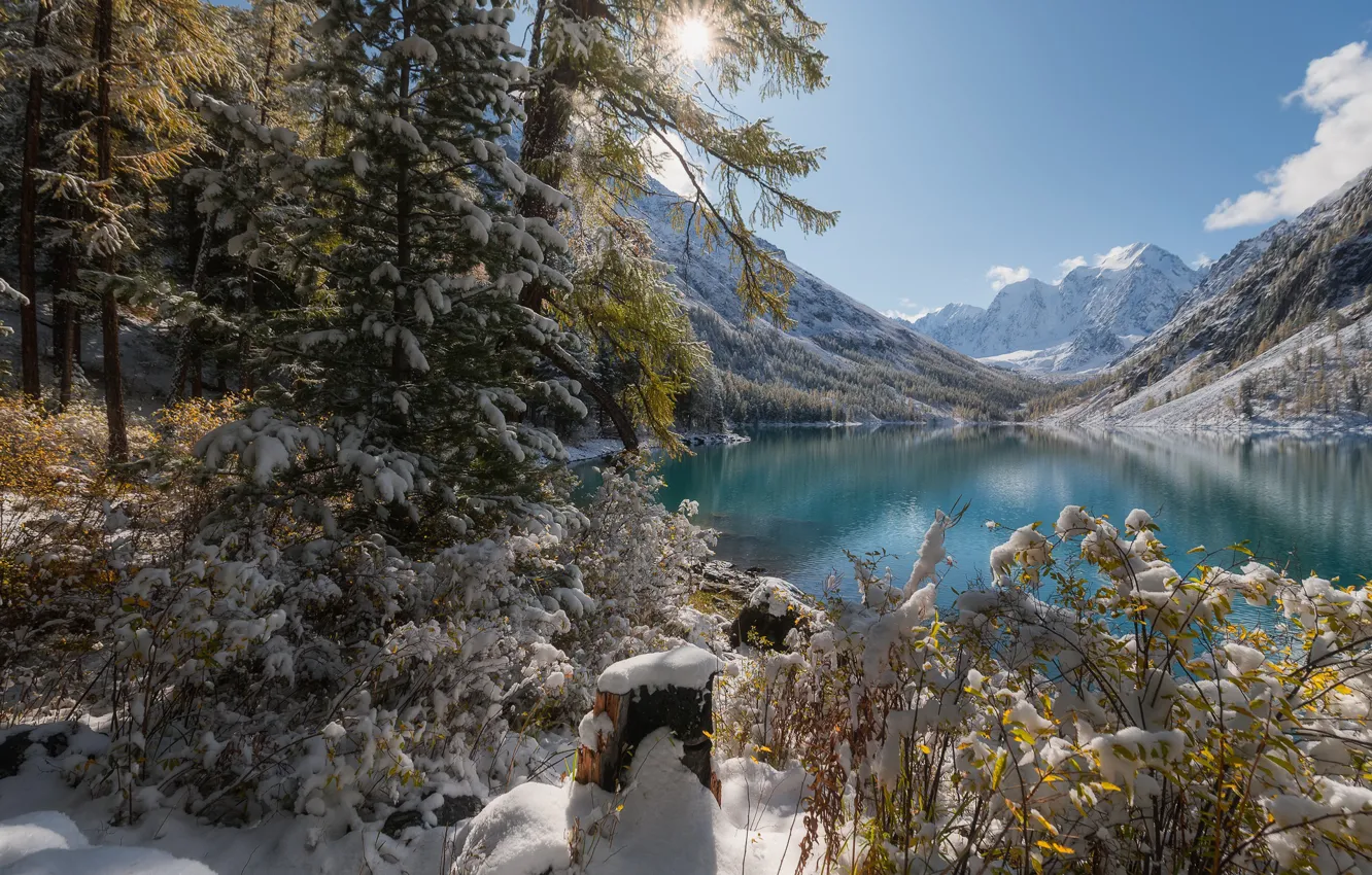 Фото обои зима, снег, деревья, горы, озеро, Россия, Горный Алтай, Алтайские горы