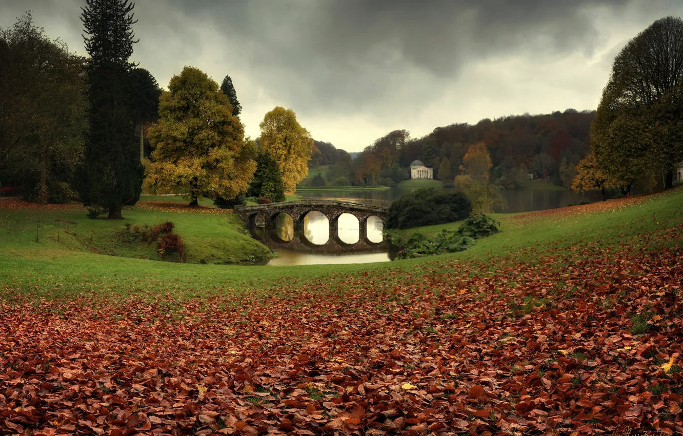 Фото обои осень, природа, парк