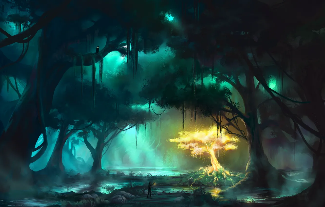 Фото обои лес, вода, лучи, деревья, туман, отражение, болото, свечение