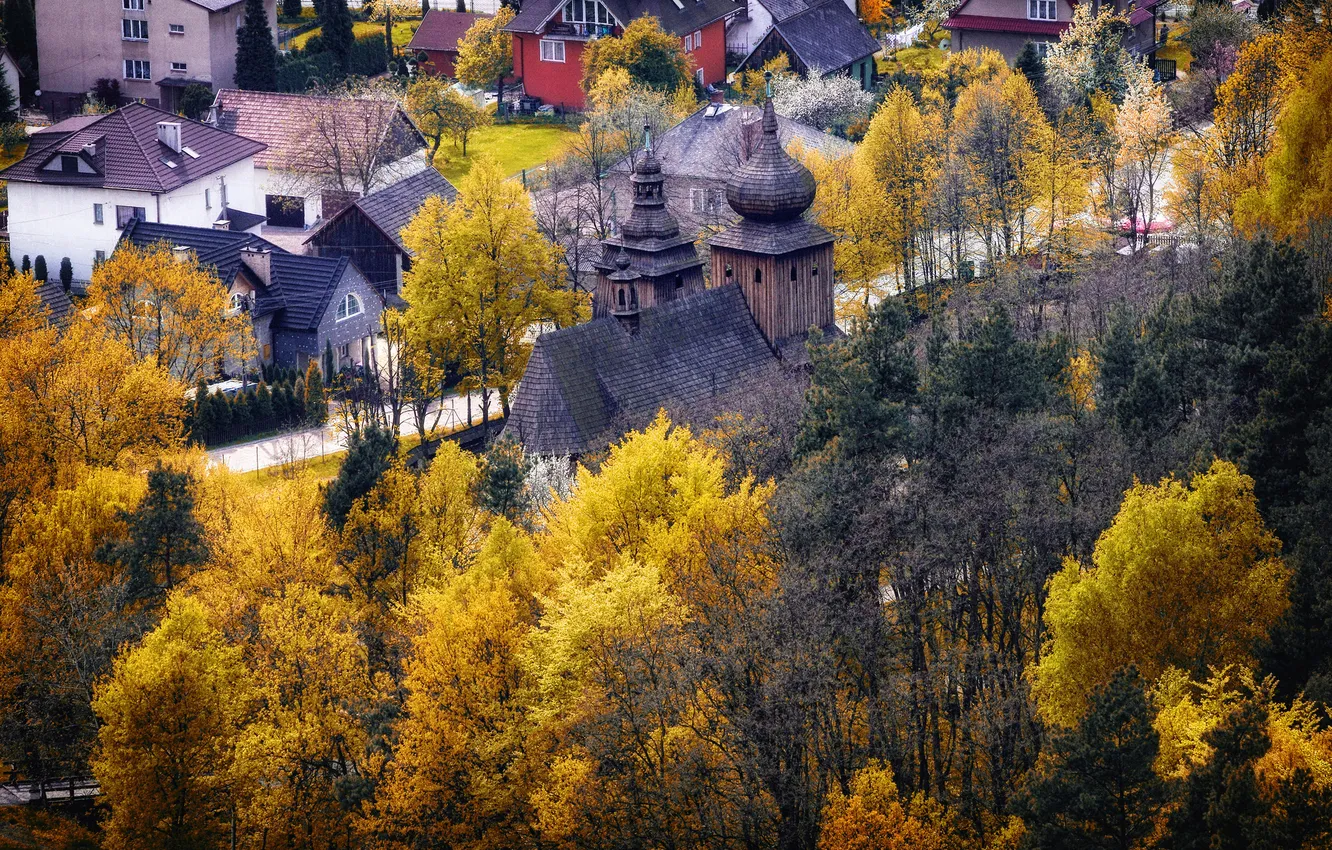 Фото обои осень, деревья, город, дома, Польша
