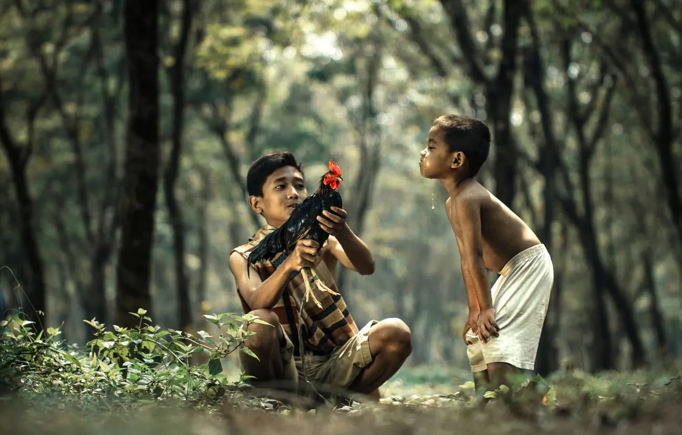Фото обои girls, nature, boys, children