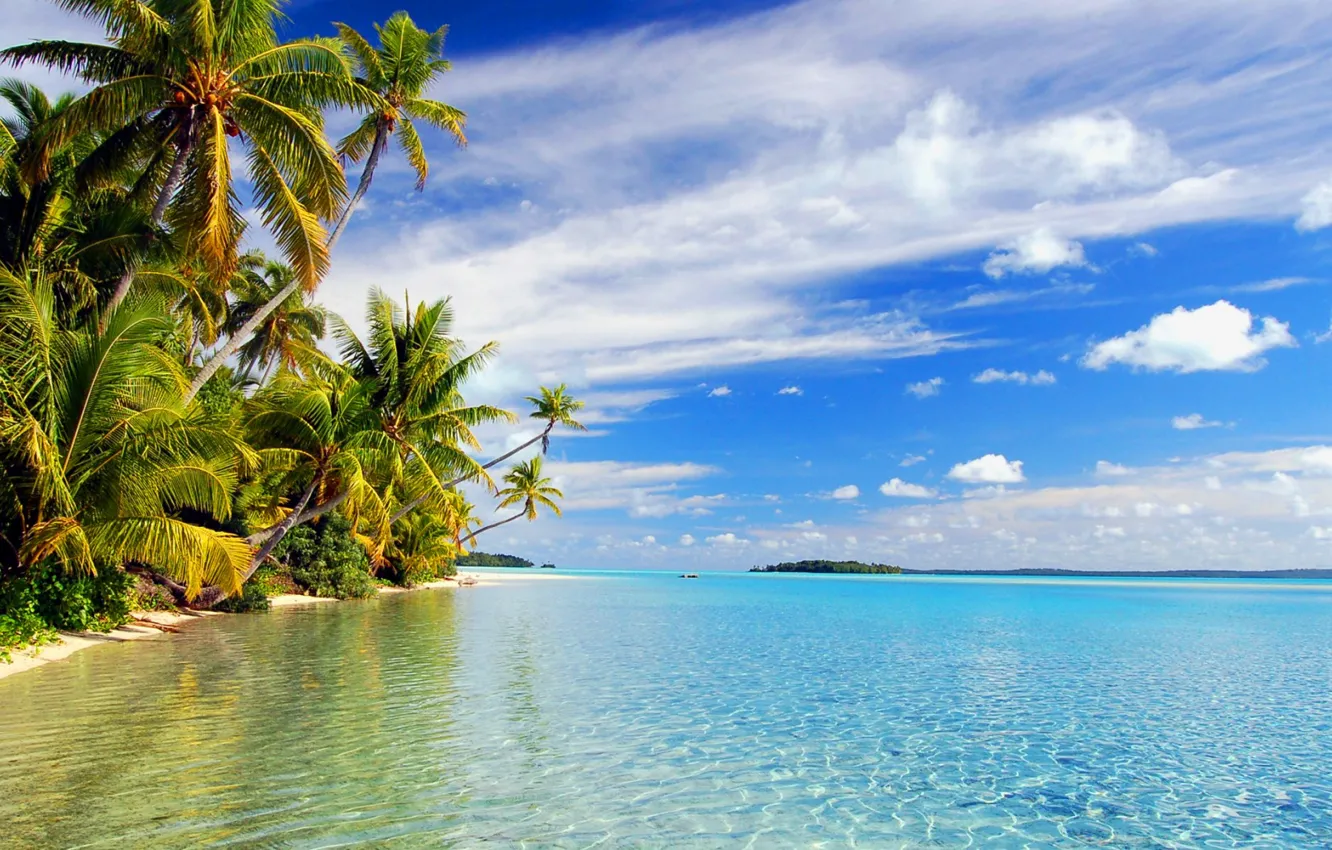 Фото обои море, пляж, пальмы