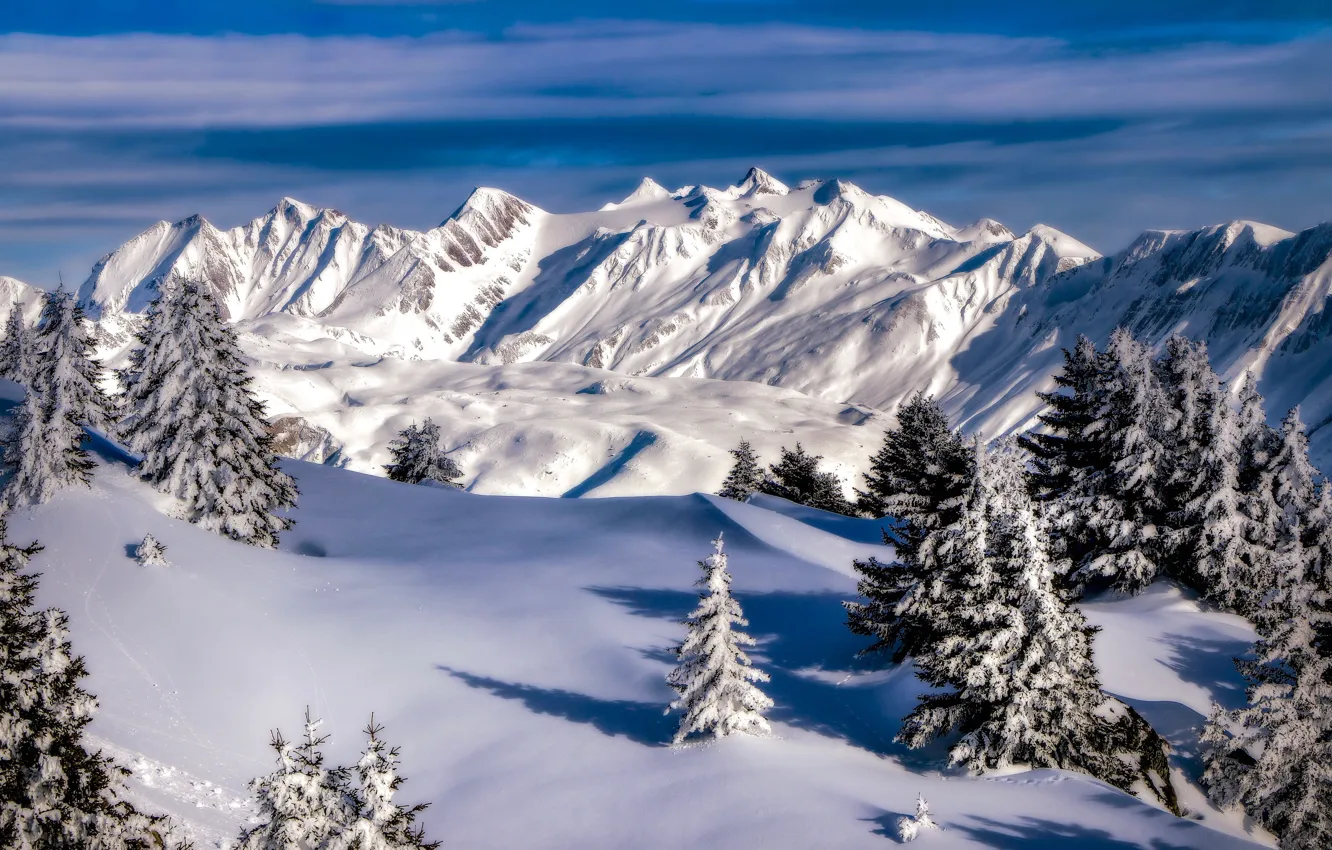Фото обои зима, снег, деревья, горы, Швейцария, ели, Пеннинские Альпы