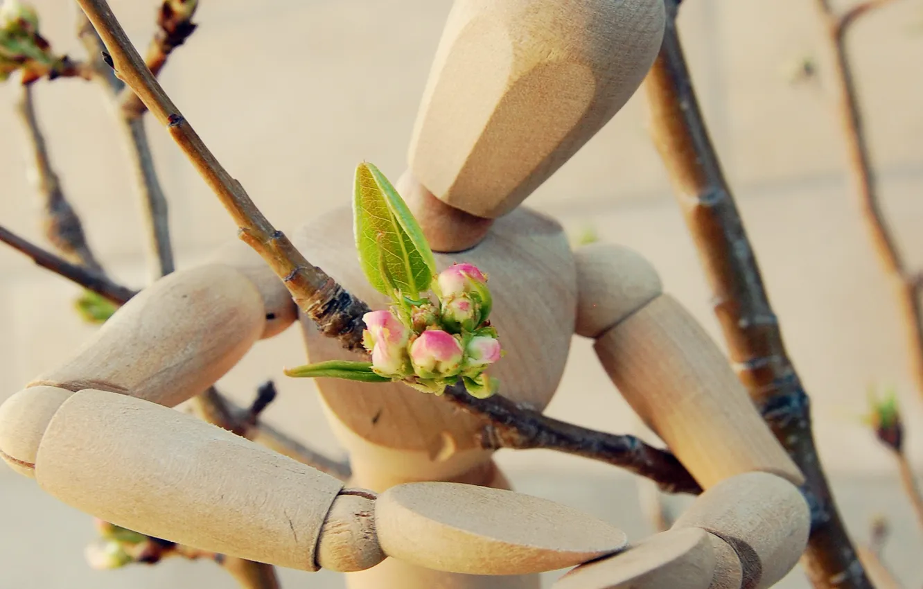 Фото обои цветок, настроение, романтика, человек, весна, деревянный