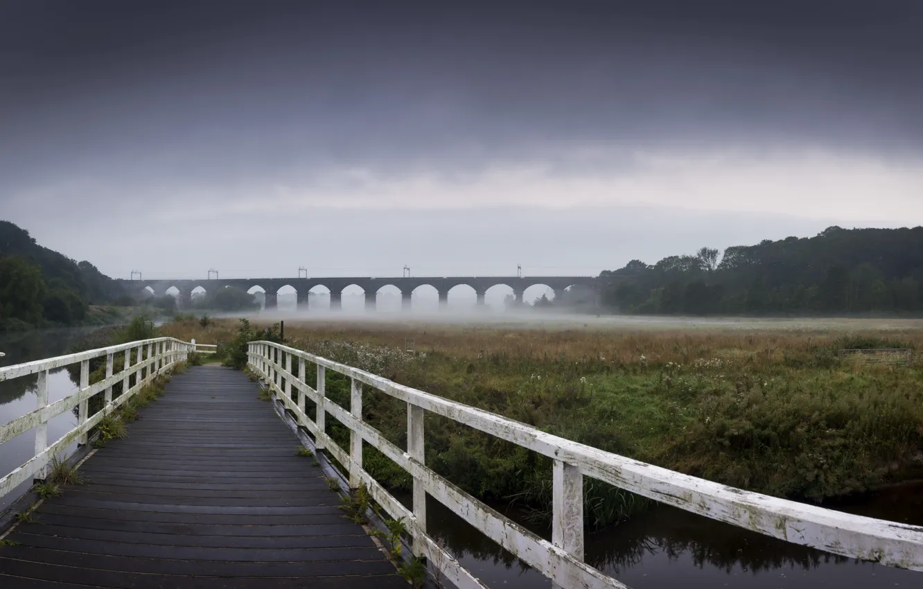 Фото обои мост, природа, туман
