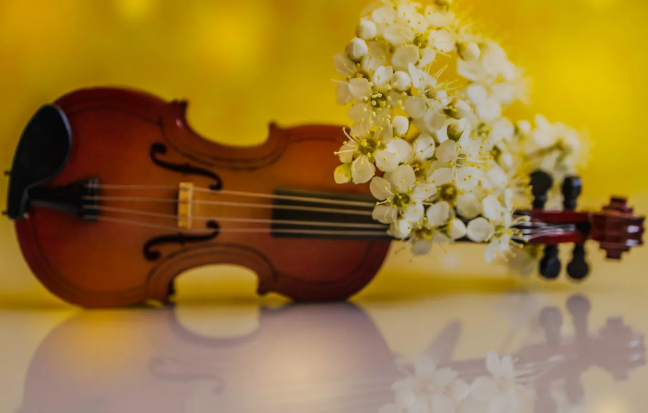 Фото обои цветы, скрипка, весна, лепестки