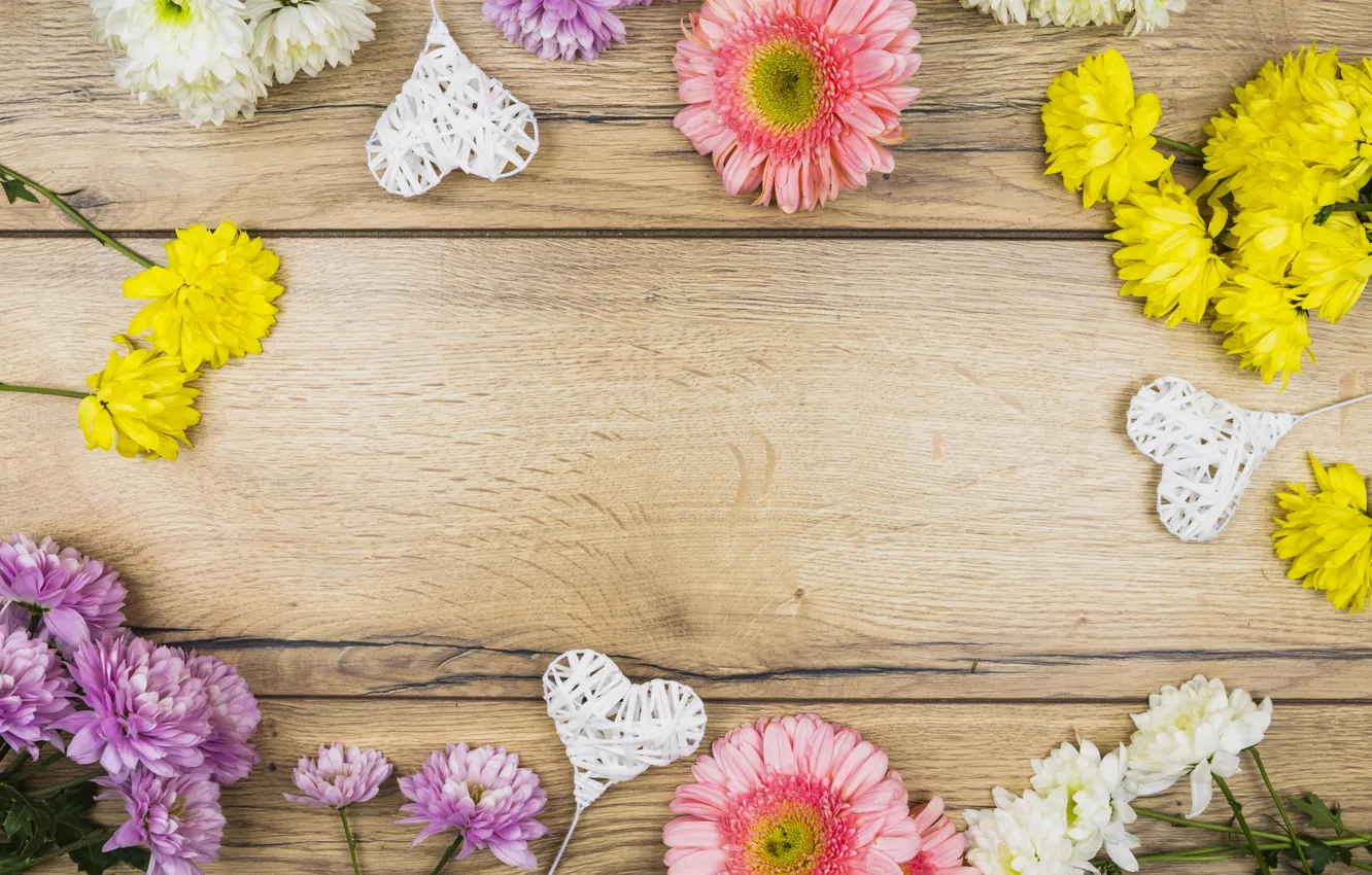 Фото обои цветы, colorful, сердечки, хризантемы, wood, pink, flowers, romantic