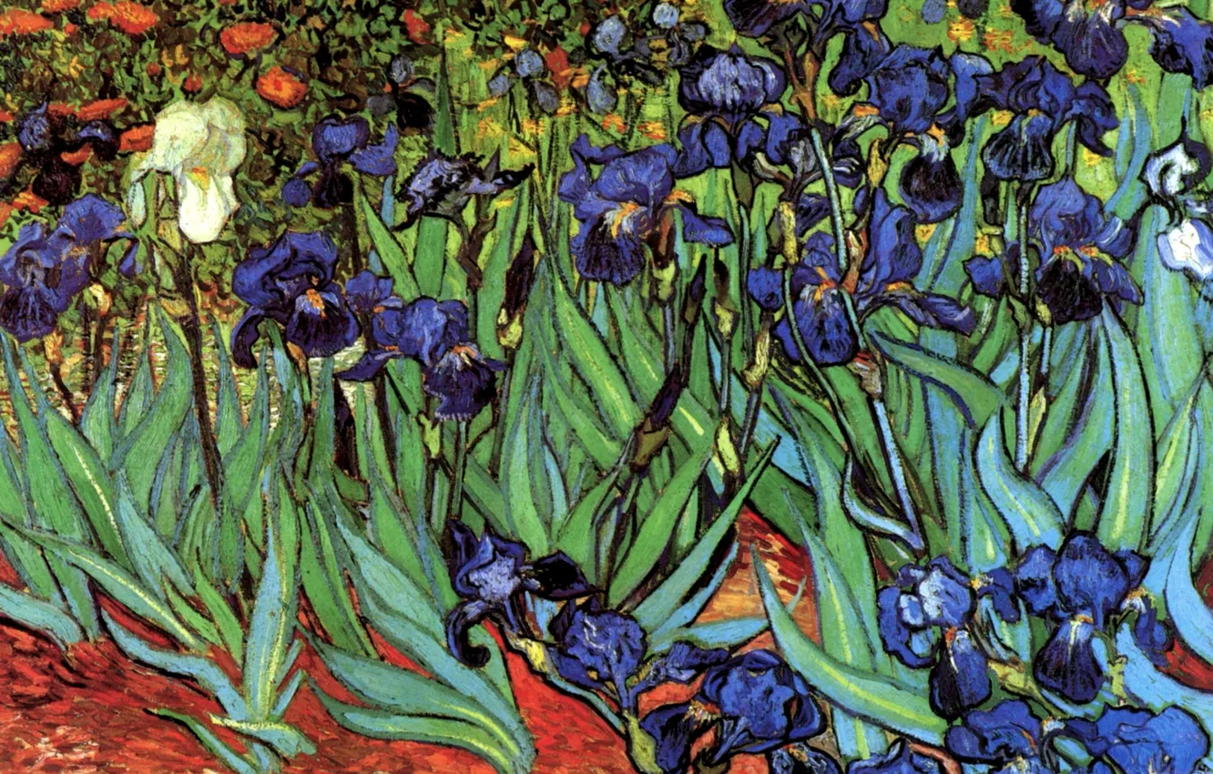 Фото обои Винсент ван Гог, Irises, разные цветы