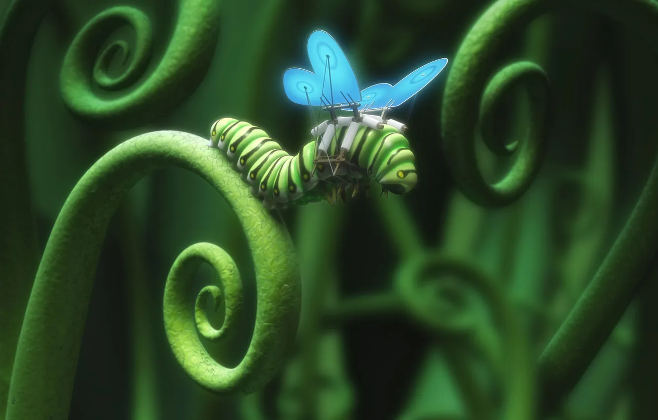 Фото обои гусеница, крылья, Reckless Impatience
