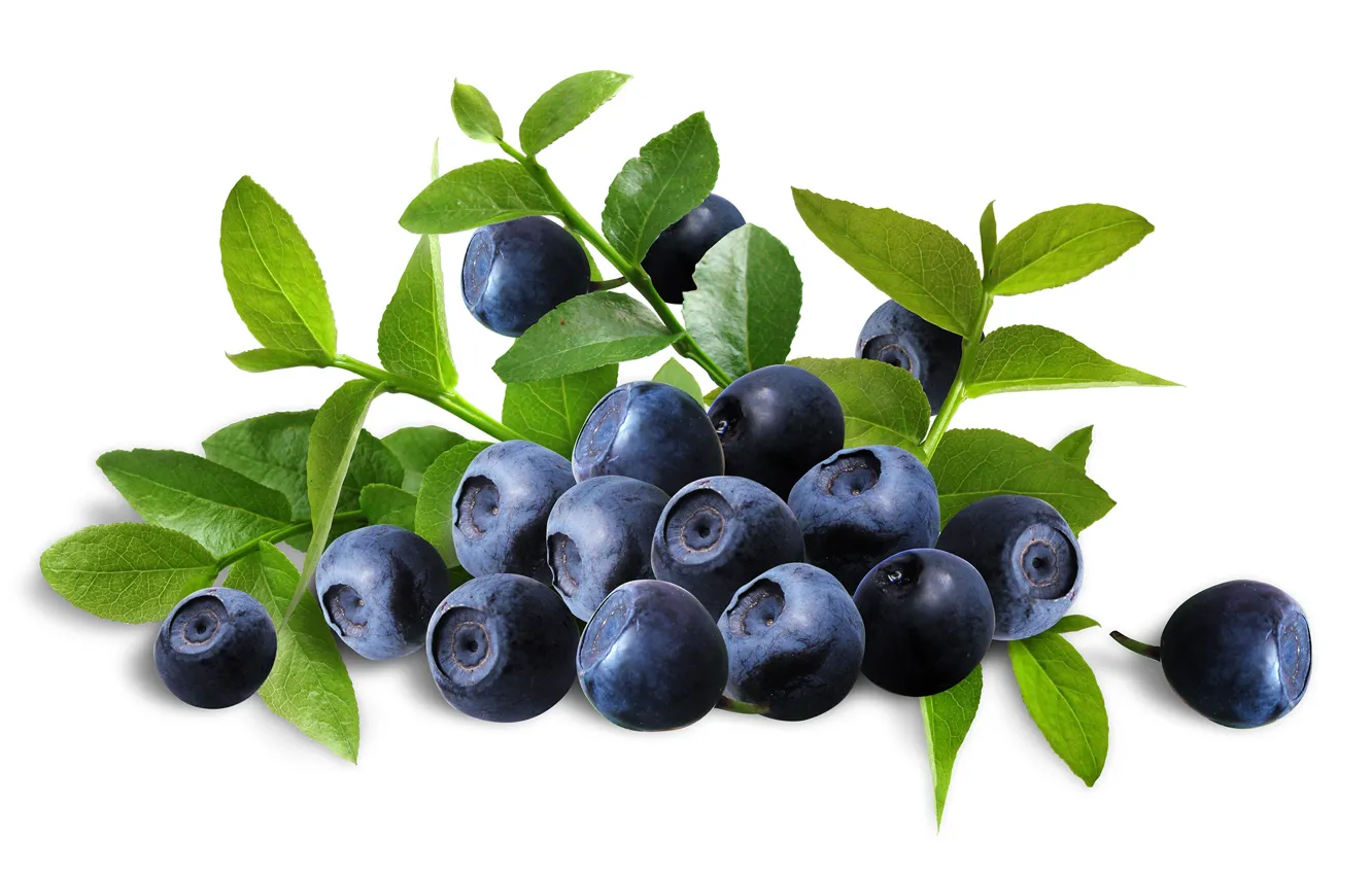 Фото обои ягоды, черника, blueberries