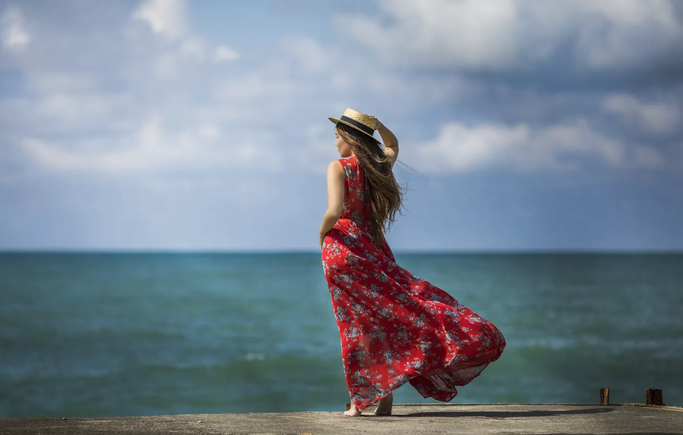 Фото обои море, девушка, ветер, спина, платье, Alex Darash
