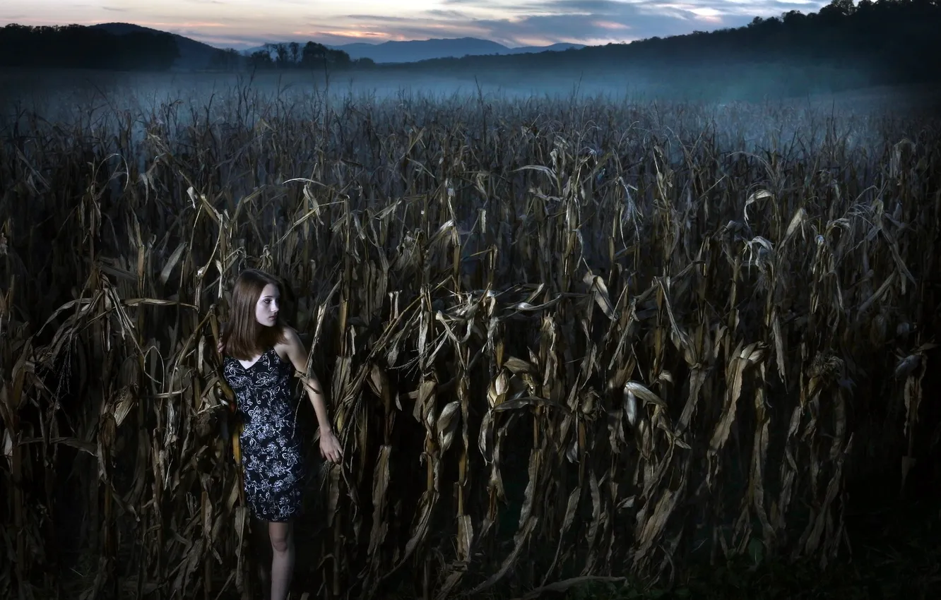 Фото обои девушка, ночь, кукуруза