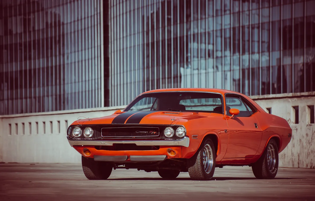 Фото обои оранжевый, додж, dodge, challenger, muscle car, r/t, 1970, orange