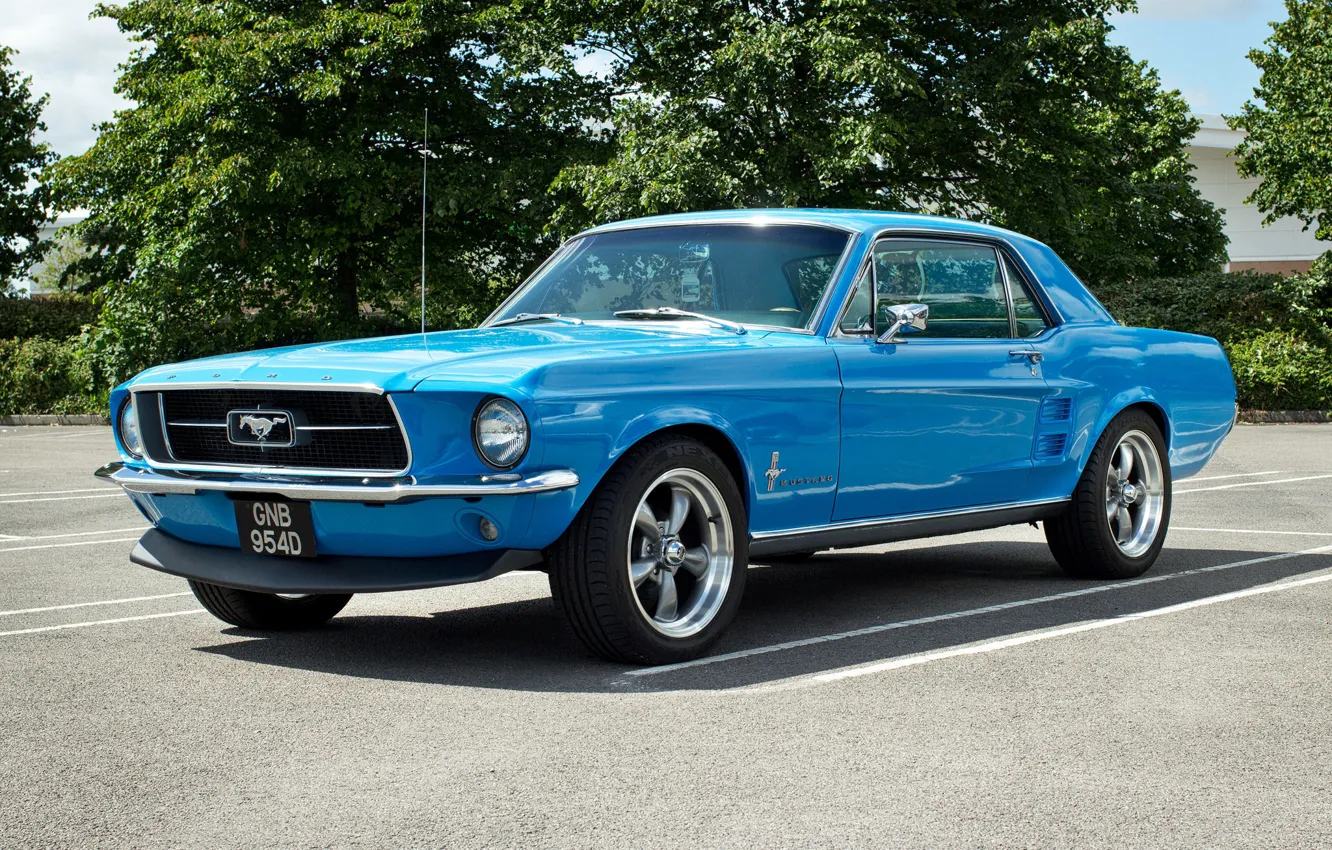 Фото обои синий, Mustang, Ford, мускул кар, передок, Muscle car