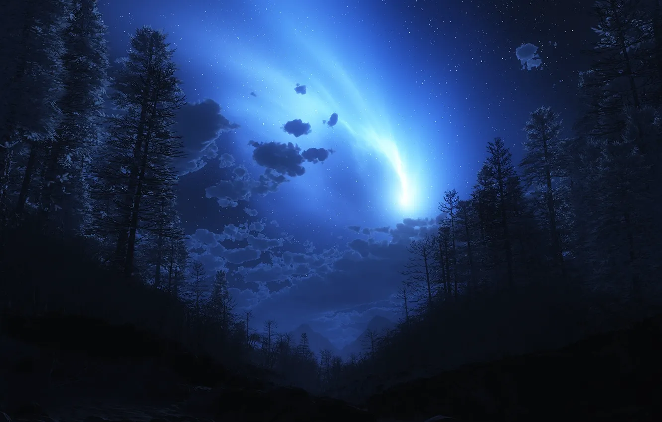 Фото обои лес, звезды, ночь, сияние, ночное небо