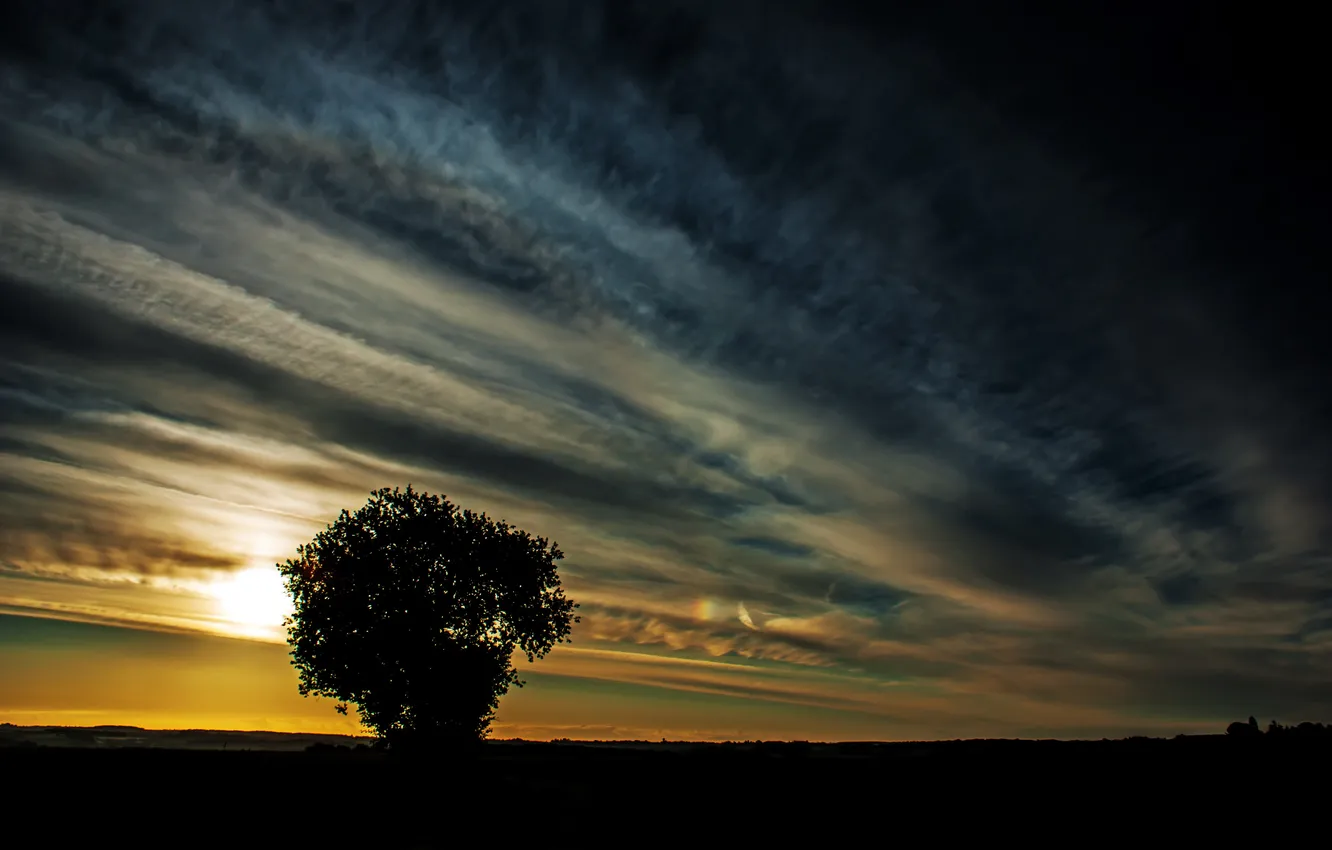 Фото обои небо, пейзаж, закат, дерево, силуэты