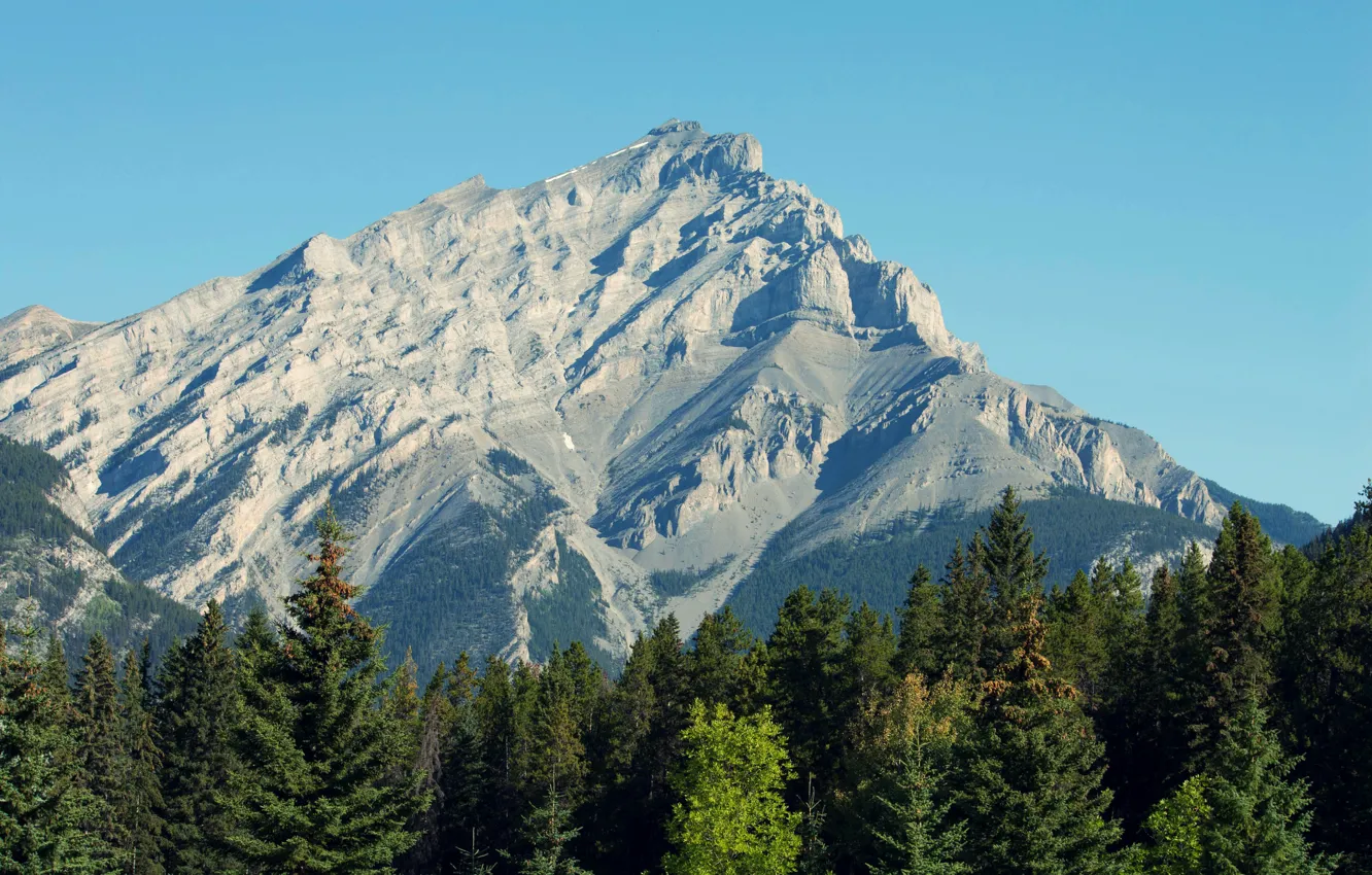Фото обои лес, небо, Гора, mountain, Каскейд, Banff national park, Cascade