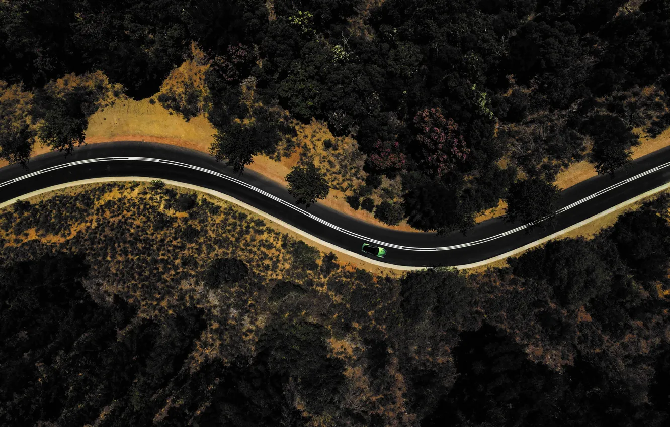 Фото обои дорога, растительность, автомобиль, вид сверху, Aston Martin DB12