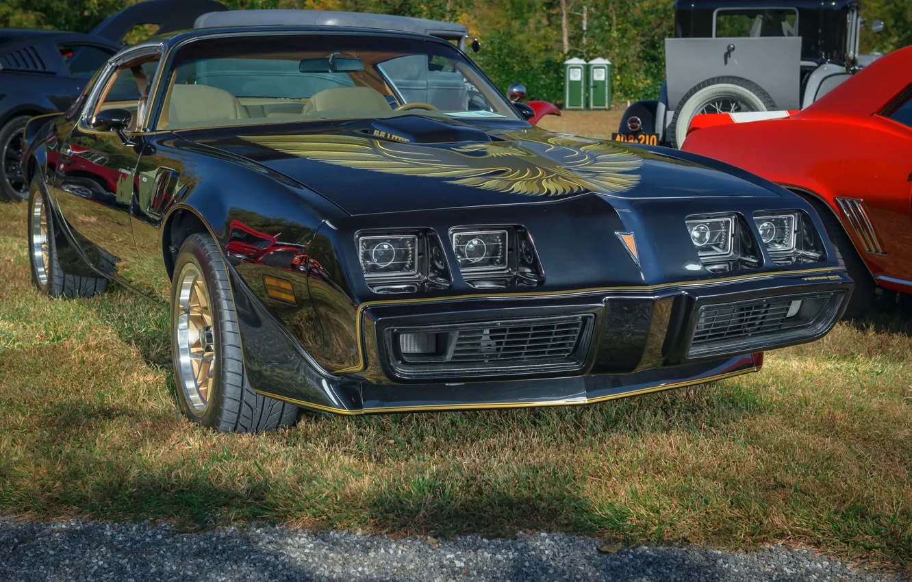 Фото обои Pontiac, Firebird, Trans Am, 1979, 403ci