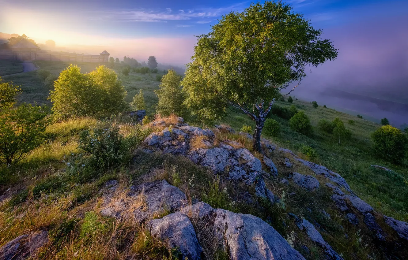 Фото обои пейзаж, природа, туман, река, камни, дерево, растительность, утро