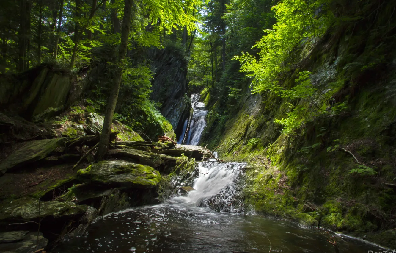 Фото обои лес, вода, деревья, камни, водопад