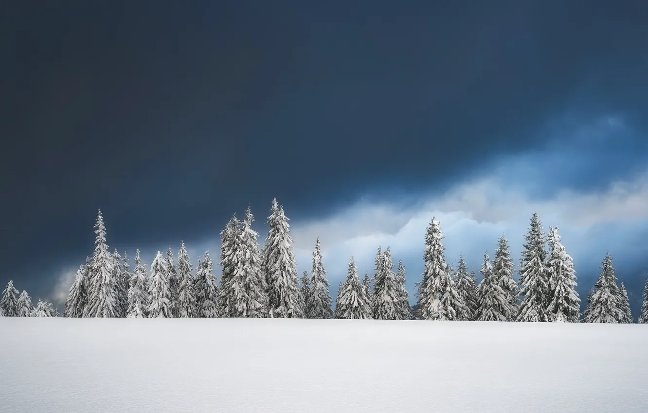 Фото обои зима, снег, природа