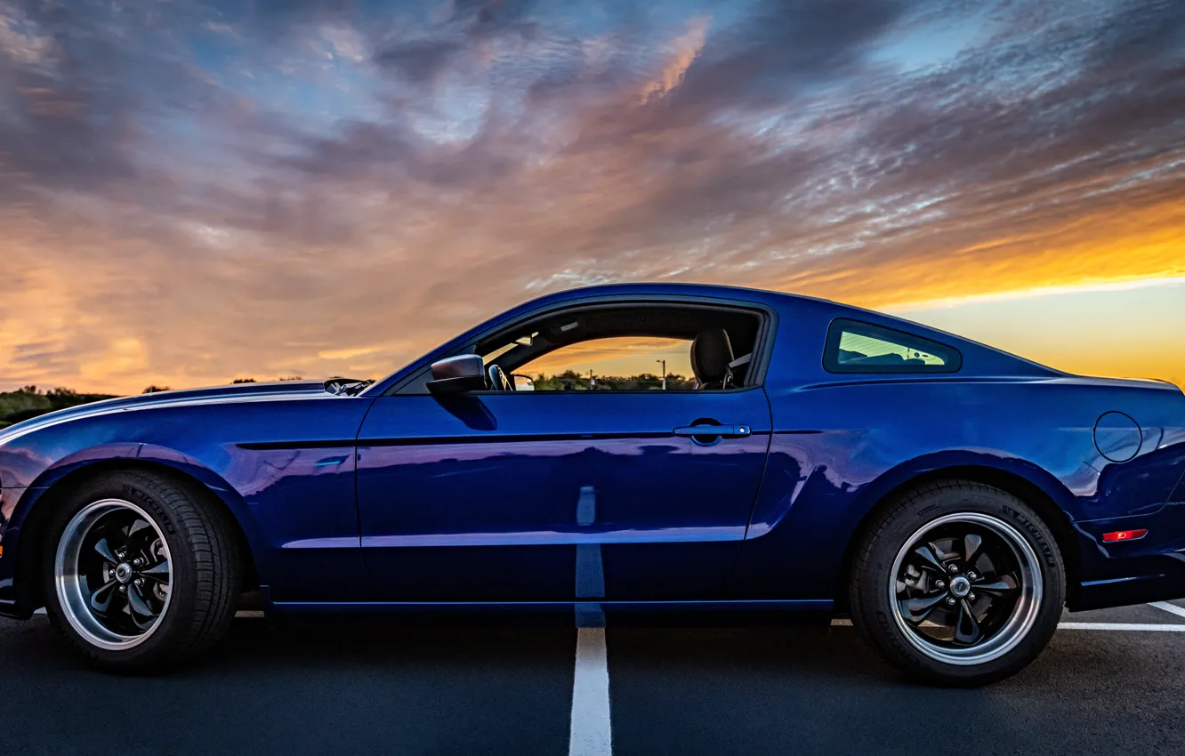 Фото обои вид сбоку, Muscle car, Pony Car, 2014 Ford Mustang
