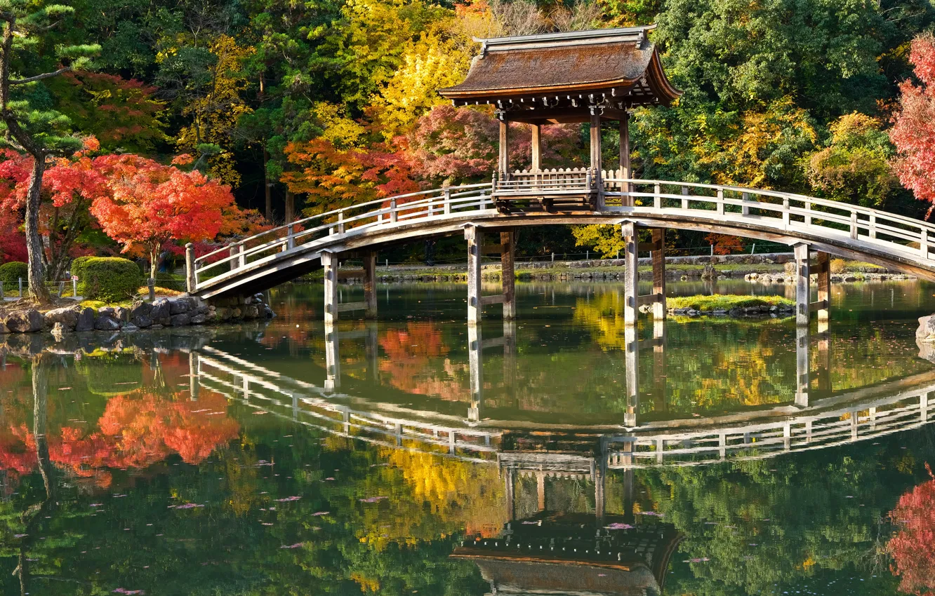 Фото обои крыша, осень, свет, деревья, озеро, пруд, стиль, парк
