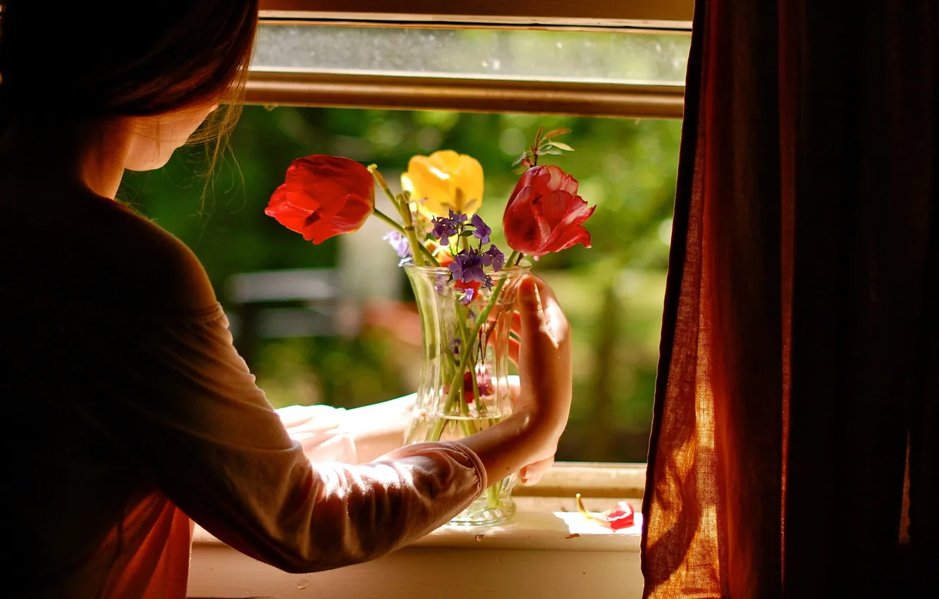 Фото обои девушка, цветы, уют, дом, настроение, окно