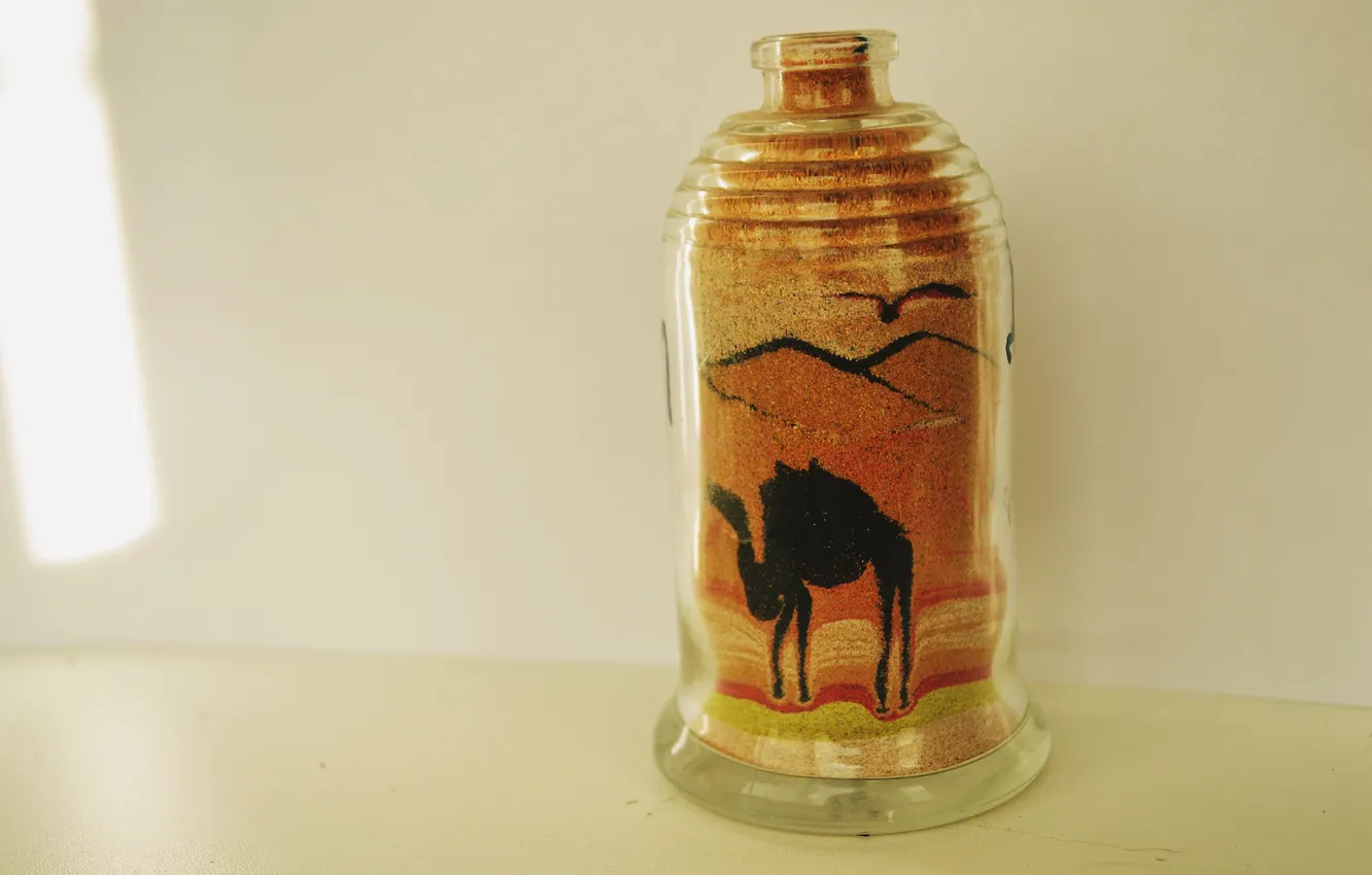 Фото обои черный, верблюд, бутылек