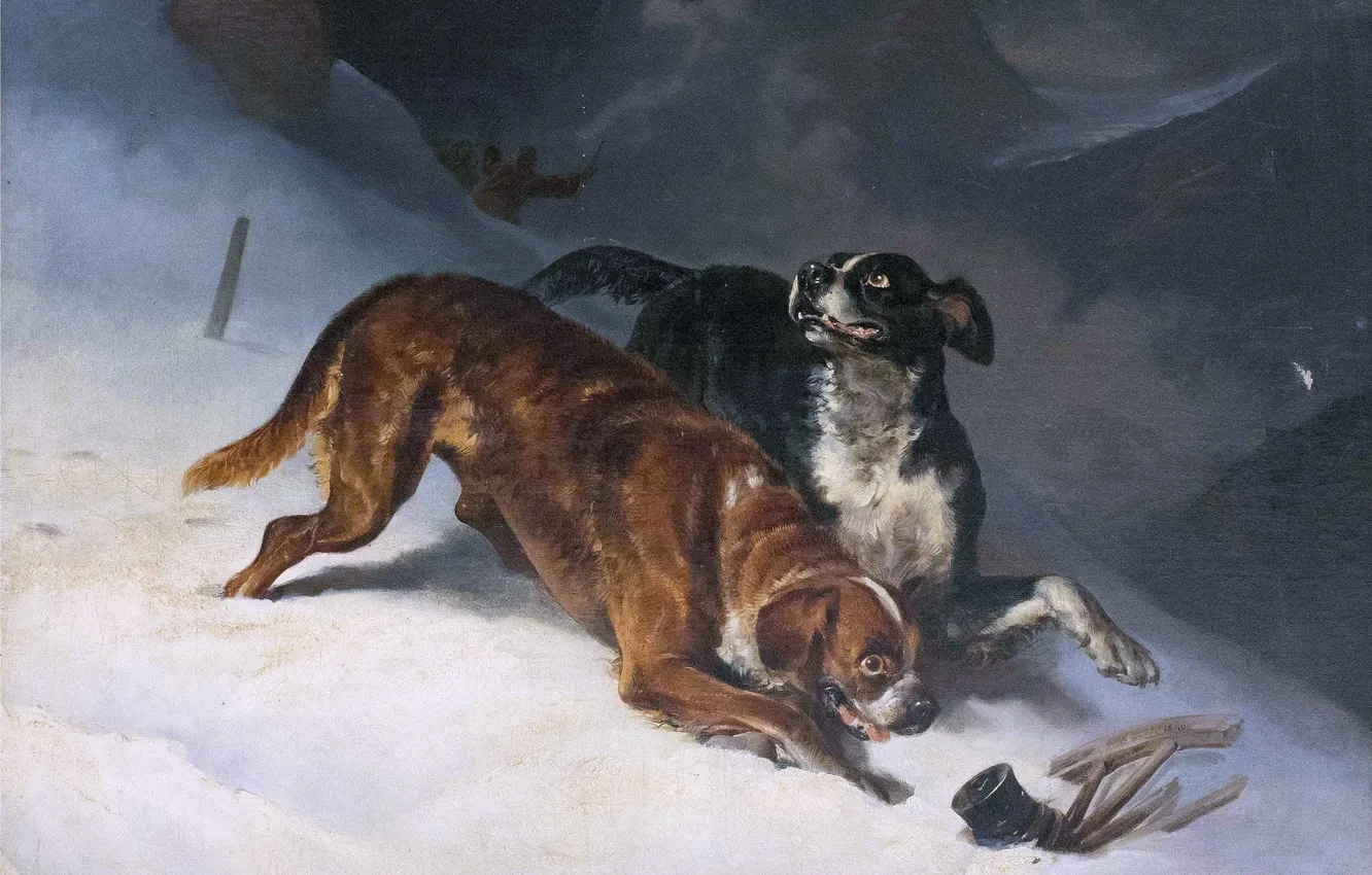 Фото обои зима, снег, горы, человек, собака, картина, Немецкий художник, Собаки с поисковой группой