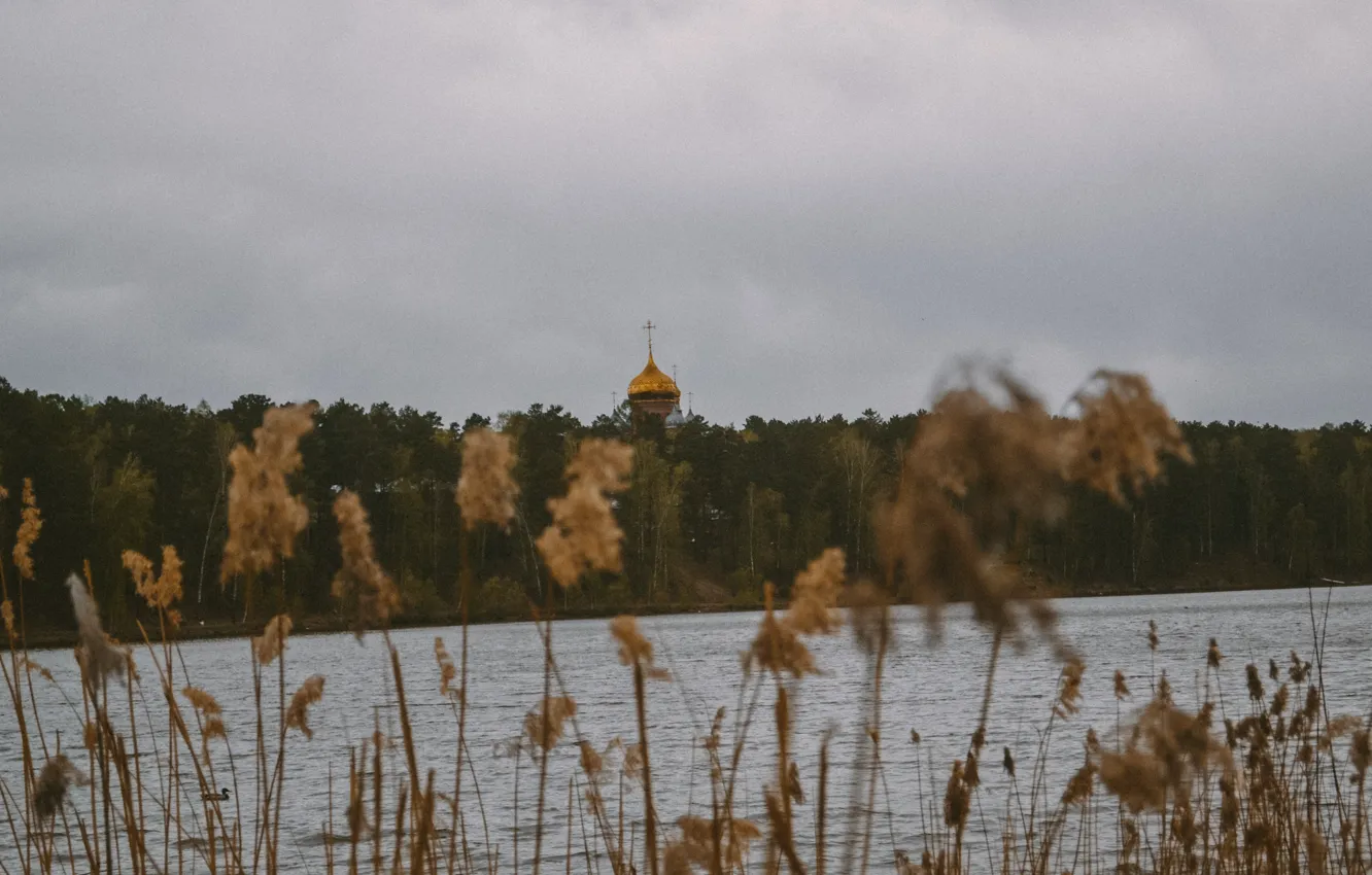 Фото обои поле, лес, природа, Озеро, церковь