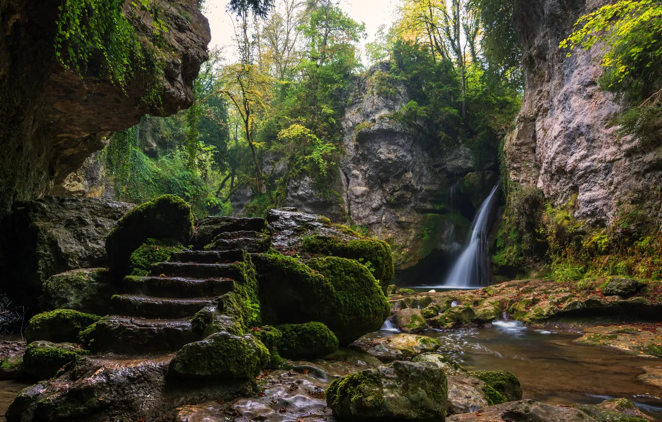 Фото обои лес, небо, деревья, пейзаж, природа, скала, водопад, растения