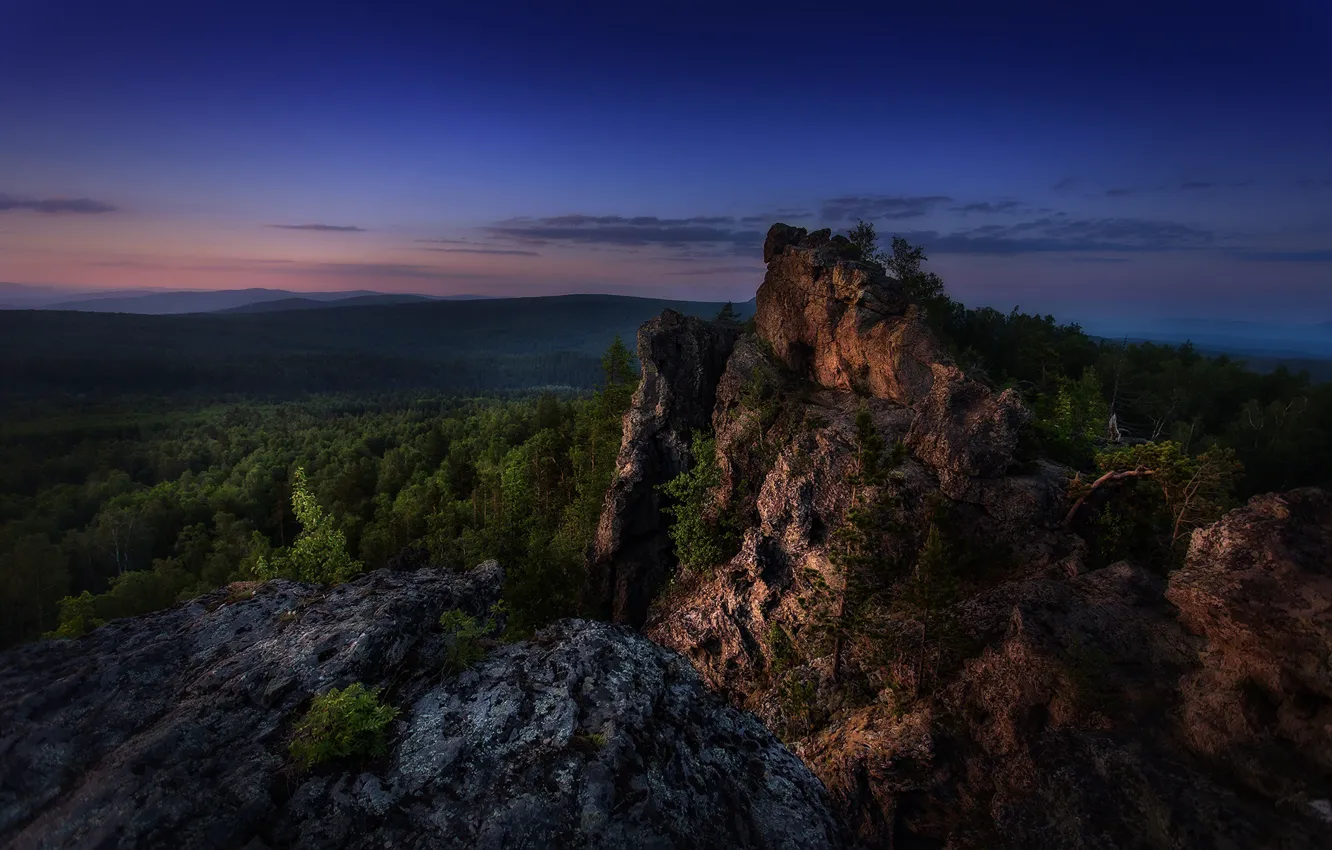 Фото обои лес, скалы, вечер, Сагайдак Павел