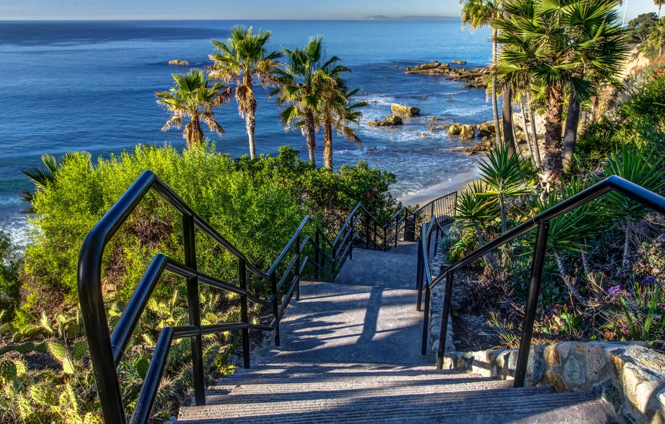 Фото обои море, камни, пальмы, побережье, спуск, горизонт, Калифорния, лестница